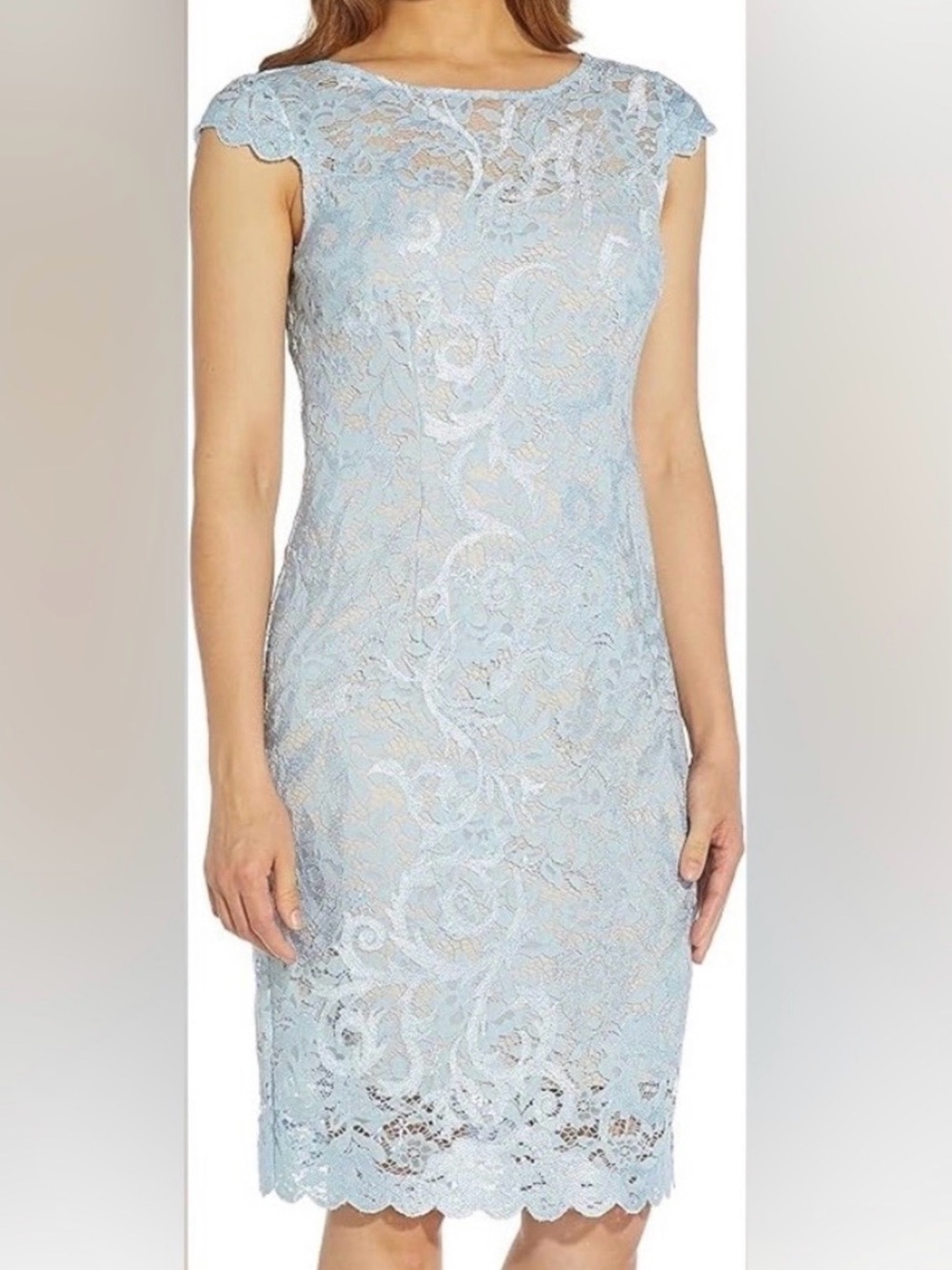 Adrianna Papell Embroidered Lace Sheath Dress